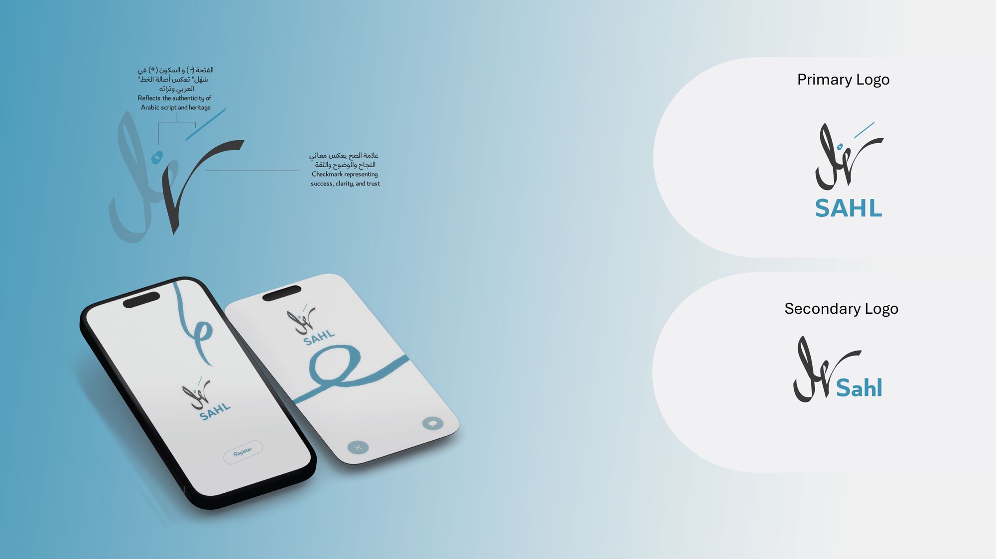 SAHL data visualization